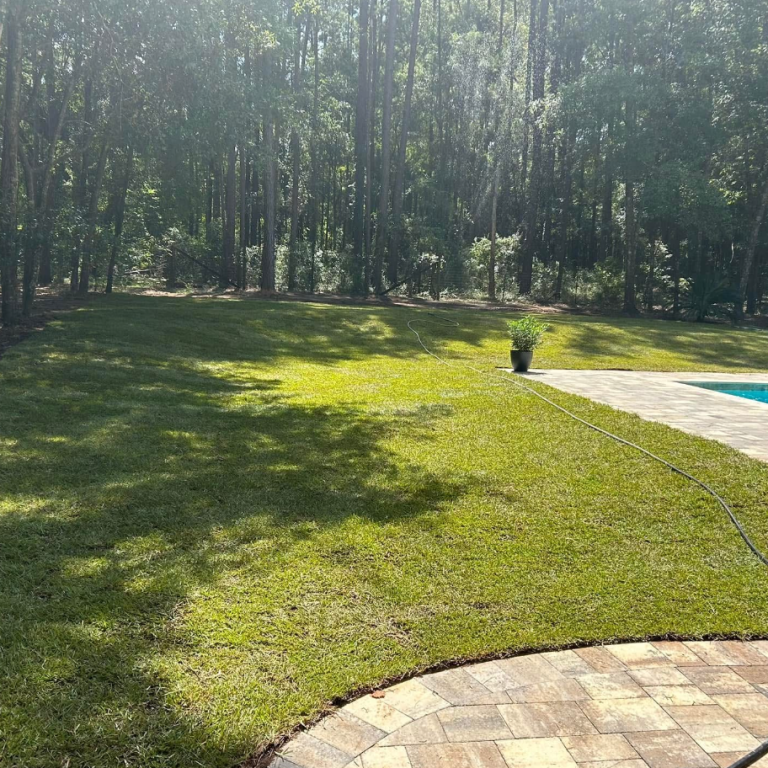 Tallahassee Sod