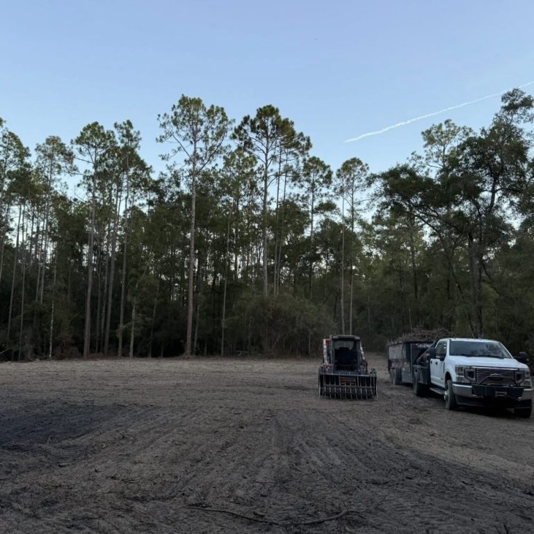 Crawfordville Land clearing